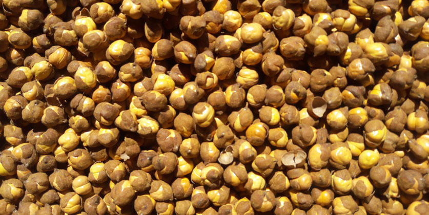 Salted Roasted Chana